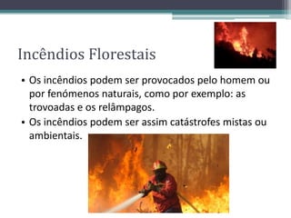 Incêndios Florestais
• Os incêndios podem ser provocados pelo homem ou
por fenómenos naturais, como por exemplo: as
trovoadas e os relâmpagos.
• Os incêndios podem ser assim catástrofes mistas ou
ambientais.
 