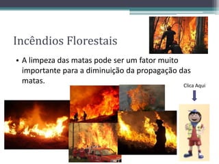 Incêndios Florestais
• A limpeza das matas pode ser um fator muito
importante para a diminuição da propagação das
matas. Clica Aqui
 