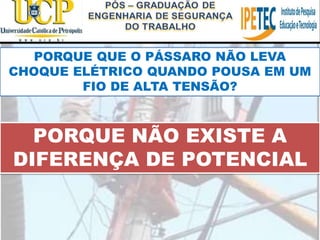 PORQUE QUE O PÁSSARO NÃO LEVA
CHOQUE ELÉTRICO QUANDO POUSA EM UM
FIO DE ALTA TENSÃO?
PORQUE NÃO EXISTE A
DIFERENÇA DE POTENCIAL
 