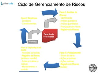 Ciclo de Gerenciamento de Riscos feedback Experiência consolidada 