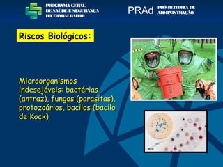 MicroorganismosMicroorganismos
indesejáveis: bactériasindesejáveis: bactérias
(antraz), fungos (parasitas),(antraz), fungos (parasitas),
protozoários, bacilos (baciloprotozoários, bacilos (bacilo
de Kock)de Kock)
PROGRAMA GERAL
DE SAÚDE E SEGURANÇA
DO TRABALHADOR
PRÓ-REITORIA DE
ADMINISTRAÇÃOPRAd
Riscos Biológicos:
 