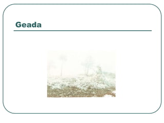 Geada