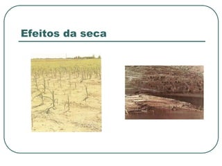Efeitos da seca