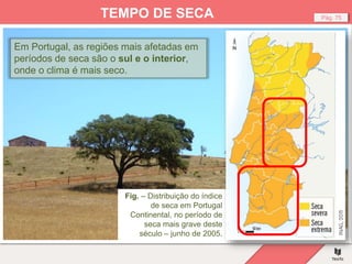 Fig. – Seca, Alentejo.
Pág. 75
TEMPO DE SECA
Em Portugal, as regiões mais afetadas em
períodos de seca são o sul e o interior,
onde o clima é mais seco.
Fig. – Distribuição do índice
de seca em Portugal
Continental, no período de
seca mais grave deste
século – junho de 2005.
 
