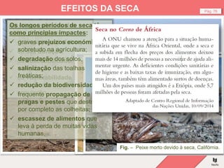 Fig. – Seca, África.
Pág. 76
EFEITOS DA SECA
As consequências das
secas dependem:
 do espaço que afetam;
 da sua duração;
 da suscetibilidade
natural;
 da vulnerabilidade
socioeconómica da
população.
Fig. – Campo de milho, efeitos do
tempo prolongado quente e seco.
Fig. – Seca, Califórnia.
Fig. – Peixe morto devido à seca, Califórnia.
Os longos períodos de seca têm
como principias impactes:
 graves prejuízos económicos,
sobretudo na agrícultura;
 degradação dos solos;
 salinização das toalhas
freáticas;
 redução da biodiversidade;
 frequente propagação de
pragas e pestes que destroem
por completo as colheitas;
 escassez de alimentos que
leva à perda de muitas vidas
humanas.
 
