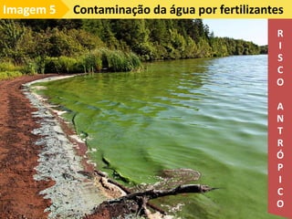Contaminação da água por fertilizantes
Imagem 5
R
I
S
C
O
A
N
T
R
Ó
P
I
C
O
 