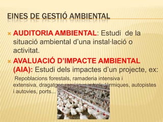 Eines de gestió ambientalAUDITORIA AMBIENTAL: Estudi  de la situació ambiental d’una instal·lació o activitat.AVALUACIÓ D’IMPACTE AMBIENTAL (AIA): Estudi dels impactes d’un projecte, ex:     Repoblacions forestals, ramaderia intensiva i extensiva, dragatges marins, centrals tèrmiques, autopistes i autovies, ports...