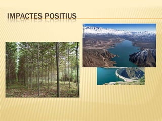 Impactes positius