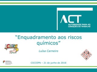 “Enquadramento aos riscos
químicos”
Luísa Carneiro
CICCOPN – 21 de junho de 2018
 
