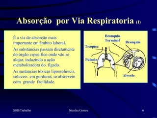 Absorção por Via Respiratoria (I)
É a vía de absorção mais
importante em âmbito laboral.
As substâncias passam diretamente
do órgão específico onde vão se
alojar, induzindo a ação
metabolizadora do fígado.
As sustancias tóxicas lipossolúveis,
soluveis em gorduras, se absorvem
com grande facilidade.




SGR/Trabalho                    Nicolau Gomes   6
 