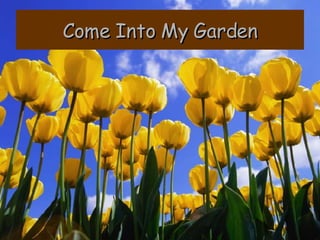 Come Into My Garden 
