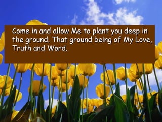Come in and allow Me to plant you deep in the ground. That ground being of My Love, Truth and Word. 