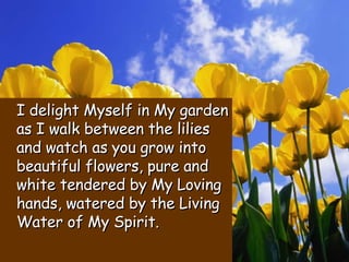 I delight Myself in My garden as I walk between the lilies and watch as you grow into beautiful flowers, pure and white tendered by My Loving hands, watered by the Living Water of My Spirit. 