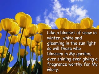 Like a blanket of snow in winter, white and gleaming in the sun light so will those who blossom in My garden, ever shining ever giving a fragrance worthy for My Glory. 