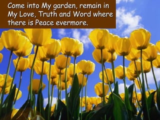 Come into My garden, remain in My Love, Truth and Word where there is Peace evermore. 