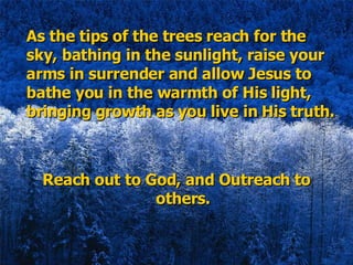As the tips of the trees reach for the sky, bathing in the sunlight, raise your arms in surrender and allow Jesus to bathe you in the warmth of His light, bringing growth as you live in His truth. Reach out to God, and Outreach to others. 