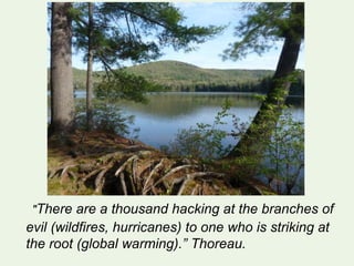 "There are a thousand hacking at the branches of
evil (wildfires, hurricanes) to one who is striking at
the root (global warming).” Thoreau.
 