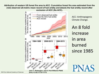 Attribution of western US forest fire area to ACC. Cumulative forest fire area estimated from the
(red) observed all-metric mean record of fuel aridity and (black) the fuel aridity record after
exclusion of ACC (No ACC).
John T. Abatzoglou, and A. Park Williams PNAS
2016;113:42:11770-11775©2016 by National Academy of Sciences
ACC: Anthropogenic
Climate Change.
An 8 fold
increase
in area
burned
since 1985
 