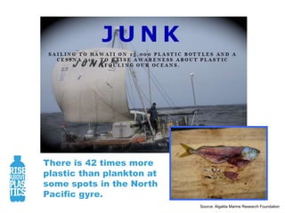 There is 42 times more plastic than plankton at some spots in the North Pacific gyre.Source: Algalita Marine Research Foundation