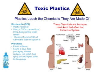 100,000 marine mammals die each year because of plastic litter in the ocean.B