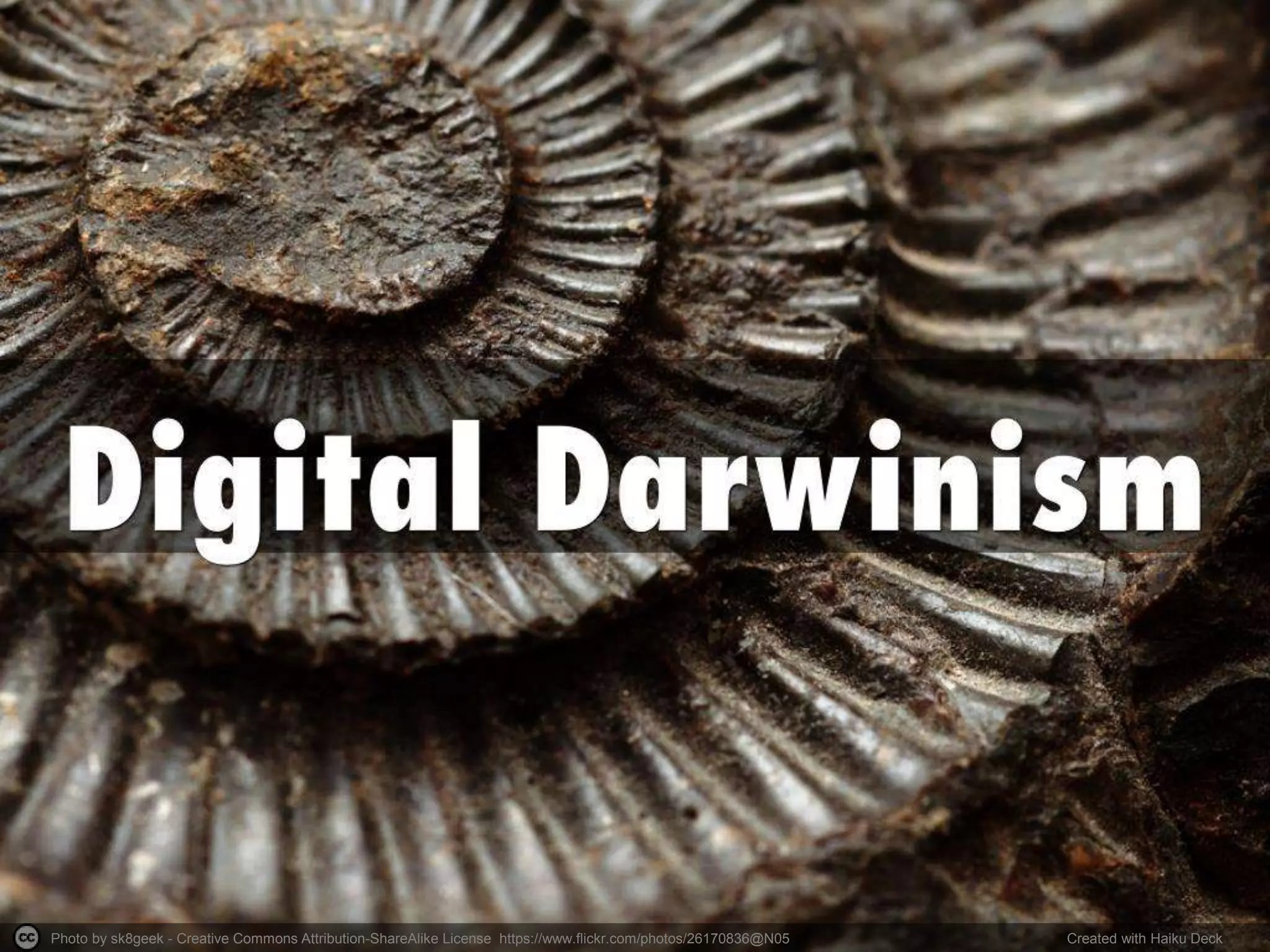 Photo by sk8geek - Creative Commons Attribution-ShareAlike License https://www.flickr.com/photos/26170836@N05 Created with Haiku Deck
 