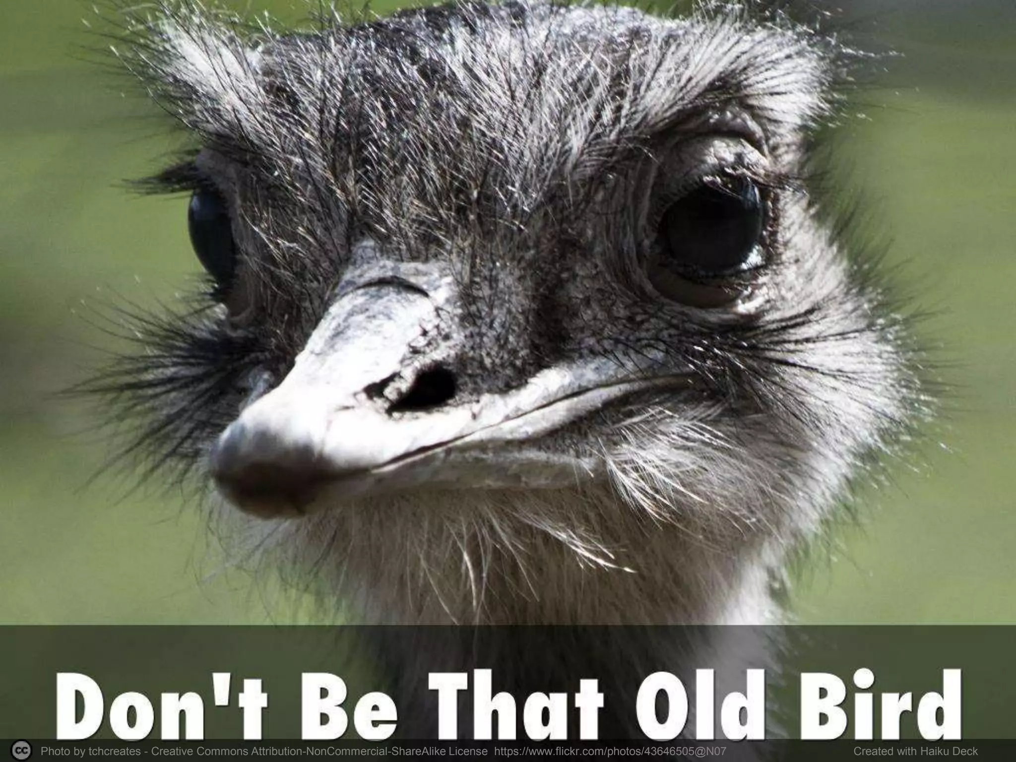 Photo by tchcreates - Creative Commons Attribution-NonCommercial-ShareAlike License https://www.flickr.com/photos/43646505@N07 Created with Haiku Deck
 