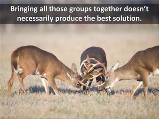 Bringing all those groups together doesn’t necessarily produce the best solution.<br />