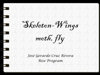 Skeleton-Wings moth, fly José Gerardo Cruz Rivera Rise Program 