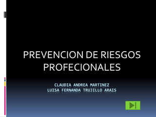 CLAUDIA ANDREA MARTINEZLUISA FERNANDA TRUJILLO ARAIS PREVENCION DE RIESGOS PROFECIONALES 