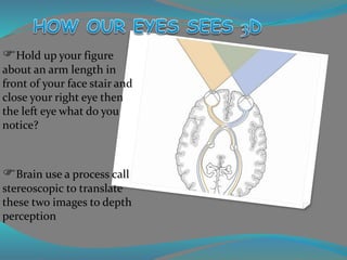 Hold up your figure
about an arm length in
front of your face stair and
close your right eye then
the left eye what do you
notice?
Brain use a process call
stereoscopic to translate
these two images to depth
perception
 