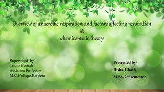 Overview of anaerobic respiration and factors affecting respiration
&
chemiosmotic theory
Presented by-
Risha Ghosh
M.Sc. 2nd semester
Supervised by-
Tridip Boruah
Assistant Professor
M.C.College,Barpeta
 