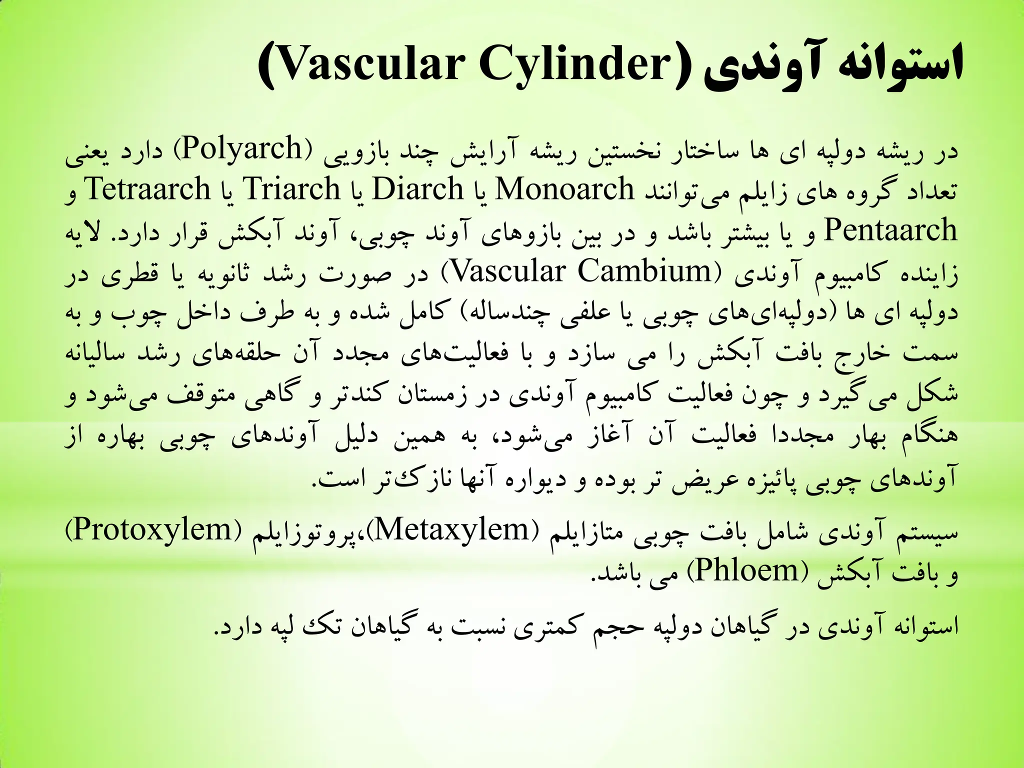 root system in plants described in pdf.. | PDF