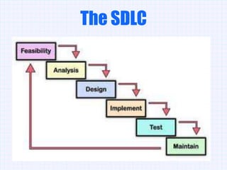 The SDLC
 