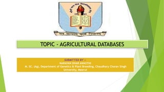 SUBMITTED BY :-
NARAYAN DHAR AWASTHI
M. SC. (Ag), Department of Genetics & Plant Breeding, Chaudhary Charan Singh
University, Meerut
TOPIC - AGRICULTURAL DATABASES
 