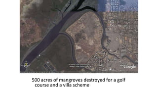 40
500 acres of mangroves destroyed for a golf
course and a villa scheme
 