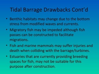 Tidal Barrage Drawbacks Cont’d
• Benthic habitats may change due to the bottom
stress from modified waves and currents.
• Migratory fish may be impeded although fish
passes can be constructed to facilitate
migrations.
• Fish and marine mammals may suffer injuries and
death when colliding with the barrage/turbines.
• Estuaries that are currently providing breeding
spaces for fish, may not be suitable for this
purpose after construction.
 