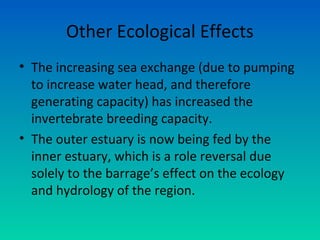 Other Ecological Effects
• The increasing sea exchange (due to pumping
to increase water head, and therefore
generating capacity) has increased the
invertebrate breeding capacity.
• The outer estuary is now being fed by the
inner estuary, which is a role reversal due
solely to the barrage’s effect on the ecology
and hydrology of the region.
 