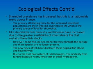 Ecological Effects Cont’d
• Shorebird prevalence has increased, but this is a nationwide
trend across France.
– The primary attributing force for the increased shorebird
populations are the increasing invertebrate life which is the
primary source of food for shorebirds.
• Like shorebirds, fish diversity and biomass have increased
due to the greater availability of invertebrate life that
sustains these fish stocks.
– However, some fish species cannot traverse through the barrage
and these species are no longer present.
– The new types of fish have displaced these original fish stocks
and have thrived.
– Due to the dual flow nature of tidal barrages, fish mortality from
turbine blades is nearly twice that of other hydropower.
 