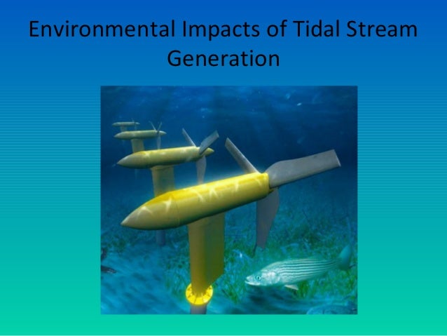 Research On The Environmental Impact Of Tidal Power Generation In China ...