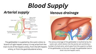 The gallbladder is supplied by the cystic artery (a
branch of right hepatic artery). It may arise from the
main trunk of the hepatic artery, from the left hepatic
artery, or from the gastroduodenal artery.
Blood Supply
Arterial supply
The venous drainage of the gallbladder is twofold (a) by the
cystic vein, which drains into the portal vein and (b) by a
number of small veins, which pass from the superior surface
of the gallbladder to the liver through the gallbladder bed to
drain into the hepatic veins.
Venous drainage
 