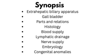 Synopsis
Extrahepatic biliary apparatus
Gall bladder
Parts and relations
Histology
Blood supply
Lymphatic drainage
Nerve supply
Embryology
Congenital anomalies
 