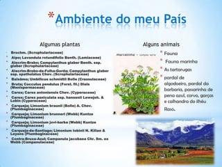 *Ambiente do meu País
                   Algumas plantas                        Alguns animais
*   Brochm. (Scrophulariaceae)                                  * Fauna
*    Aipo; Lavandula rotundifolio Benth. (Lamiaceae)
*    Alecrim-Brabo; Campylanthus glaber Benth. ssp.             * Fauna marinha
    glaber (Scrophulariaceae)
*    Alecrim-Brabo-de-Folha-Gorda; Campylanthus glaber          * As tartarugas
    ssp. spathulatus Chev. (Scrophulariaceae)
*    Balsâmo; Umbilicus schmidtii Bolle (Crassulaceae)          * pardal de
*    Bruta; Cocculus pendulus (Forst. fil.) Diels                 algodoeiro, pardal da
    (Menispermaceae)
                                                                  barbaria, passarinha de
*    Carex; Carex antoniensis Chev. (Cyperaceae)
*    Carex; Carex paniculata ssp. hansenii Lewejoh. &             pena azul, corvo, garças
    Lobin (Cyperaceae)                                            e calhandra do ilhéu
*    Carqueja; Limonium braunii (Bolle) A. Chev.
    (Plumbaginaceae)                                              Raso.
*    Carqueja; Limonium brunneri (Webb) Kuntze
    (Plumbaginaceae)
*    Carqueja; Limonium jovi-barba (Webb) Kuntze
    (Plumbaginaceae)
*    Carqueja-de-Santiago; Limonium Iobinii N. Kilian &
    Leyens (Plumbaginaceae)
*    Contra-Bruxa-Azul; Campanula jacobaea Chr. Sm. ex
    Webb (Campanulaceae)
 