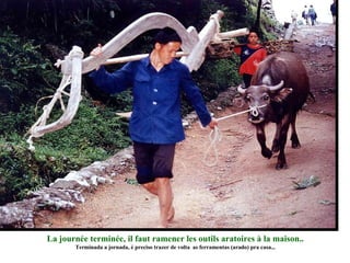 La journée terminée, il faut ramener les outils aratoires à la maison.. Terminada a jornada, é preciso trazer de volta  as ferramentas (arado) pra casa... 