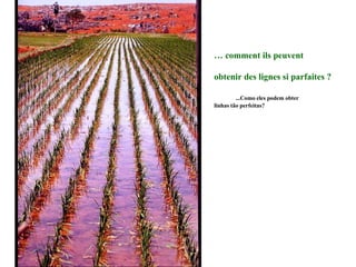 …  comment ils peuvent obtenir des lignes si parfaites ? ...Como eles podem obter  linhas tão perfeitas? 