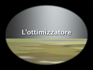 L’ottimizzatore
 
