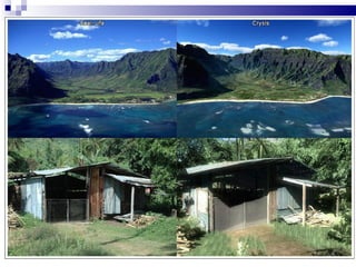 Die Spiele werden immer realistischer… 