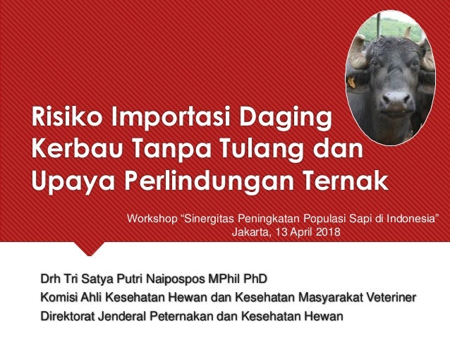 Risiko Impor Daging Kerbau Dan Perlindungan Peternak 13 April 2018