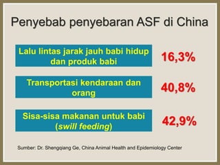 Risiko Masuknya African Swine Fever dan Potensi Kerugiannya - Ditkeswan ...