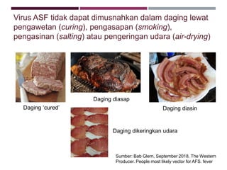 Risiko Masuknya AFS ke Indonesia - Direktorat Kesehatan Hewan, Solo, 31 ...