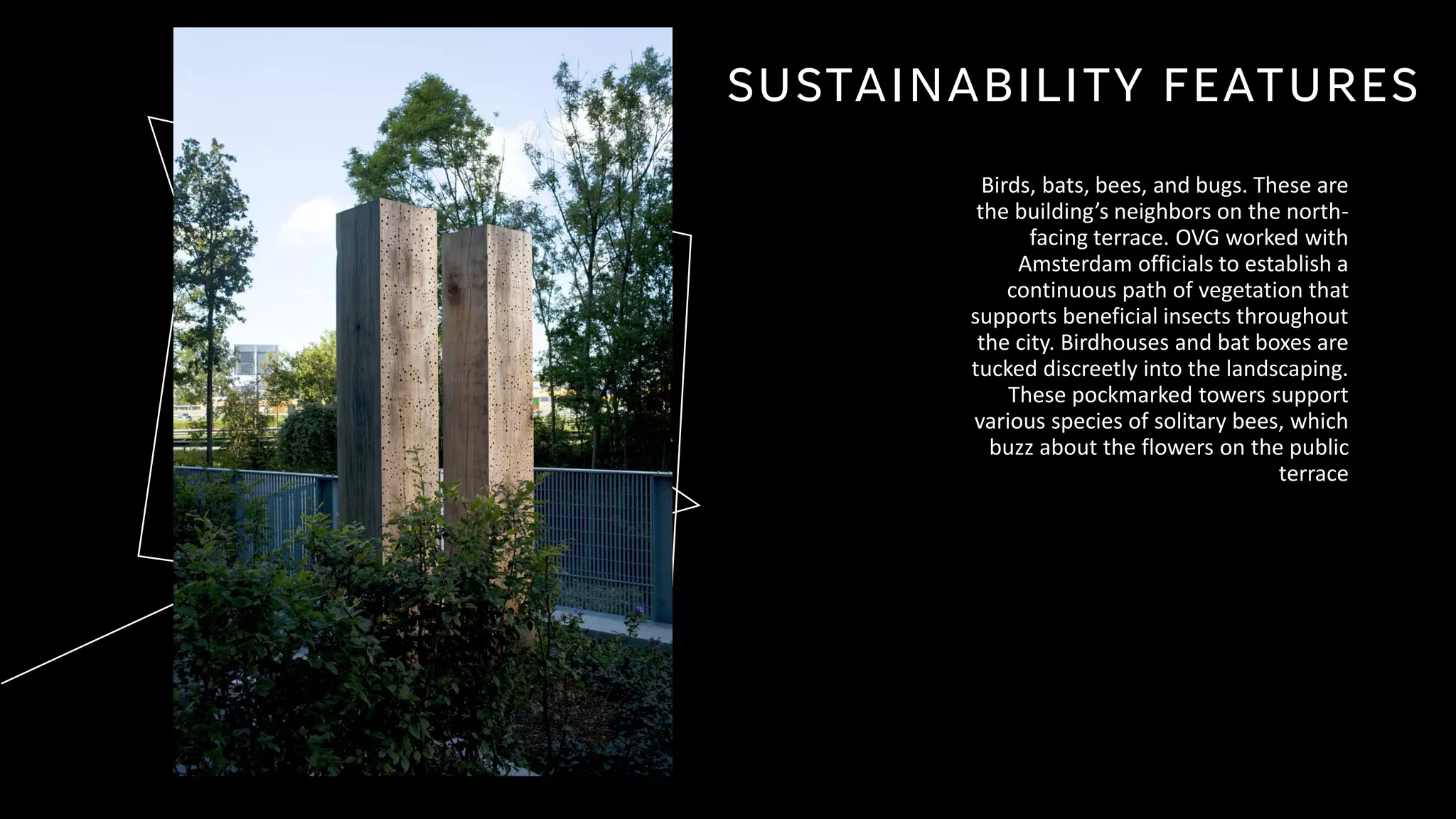 SUSTAINABILITY FEATURES
Birds, bats, bees, and bugs. These are
the building’s neighbors on the north-
facing terrace. OVG worked with
Amsterdam officials to establish a
continuous path of vegetation that
supports beneficial insects throughout
the city. Birdhouses and bat boxes are
tucked discreetly into the landscaping.
These pockmarked towers support
various species of solitary bees, which
buzz about the flowers on the public
terrace
 